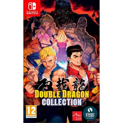 Double Dragon Collection [Switch, английская версия]